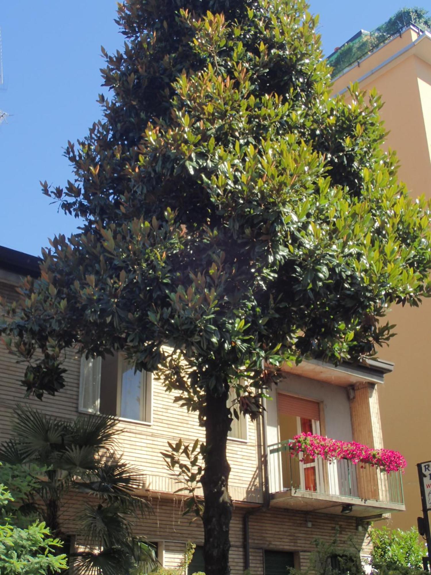 Hotel Brivio Milano Eksteriør billede